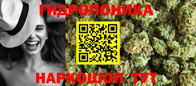 шишки Канаш