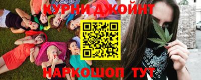 шишки Канаш