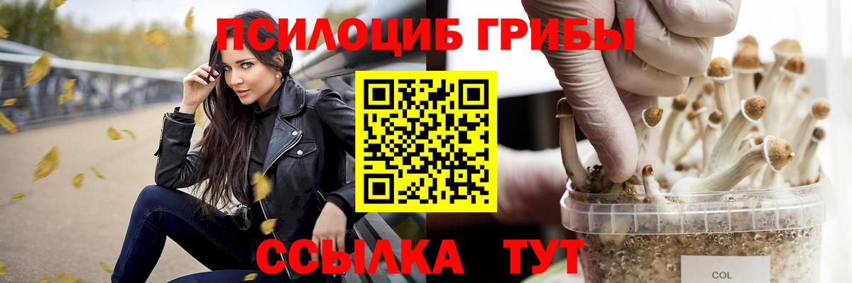 Кувандык  Псилоцибиновые грибы Cubensis  наркошоп  Галлюциногенные грибы прущие грибы  Вход с VPN 